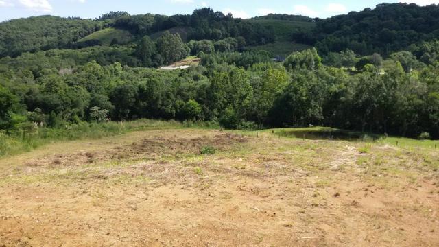Linda área para chácara de lazer com 02 hectares - Foto 6