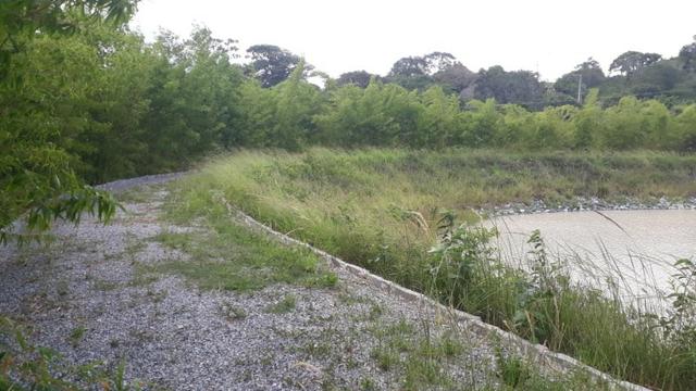 Área na BR em Gravatá/PE, com 05 hectares - REF. 131 - Foto 14