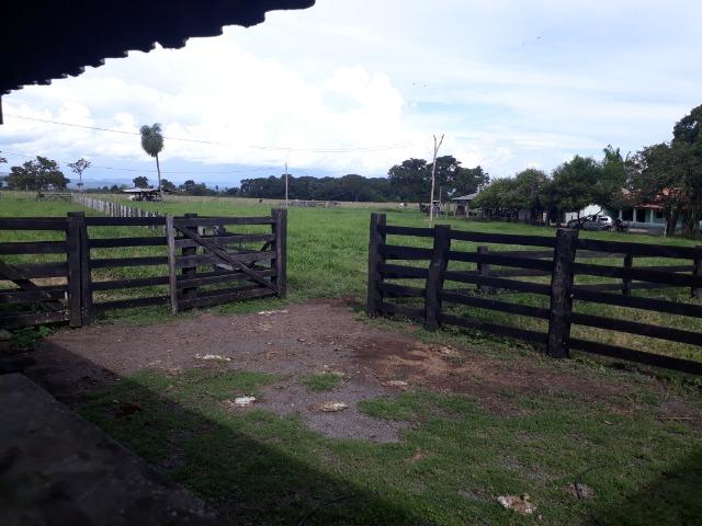 Confinamento ou Laticínio na comunidade olho d"agua na BR 364 a 30 km de Cuiabá - Foto 16