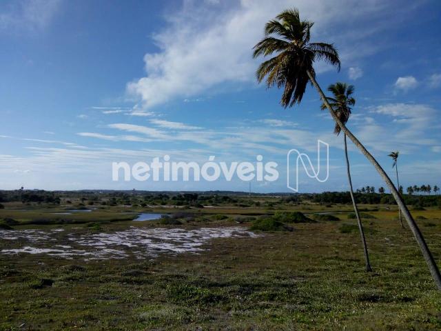 Terreno à venda em Arembepe (abrantes), Camaçari cod:757028 - Foto 4