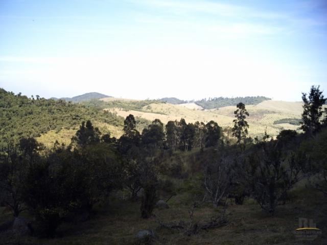 Lindo imóvel rural na cidade de cabreúva - Foto 9