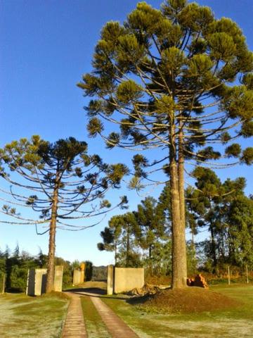 Casa com terreno de 10000 m - chácara prox. Toaldo Tulio - Foto 7