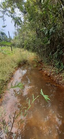 Terreno com pequeno igarapé km 25 - Foto 5