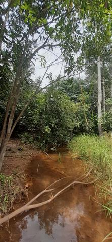 Terreno com pequeno igarapé km 25 - Foto 6