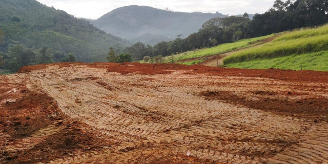 54V terreno para quem gosta de plantar - Foto 5