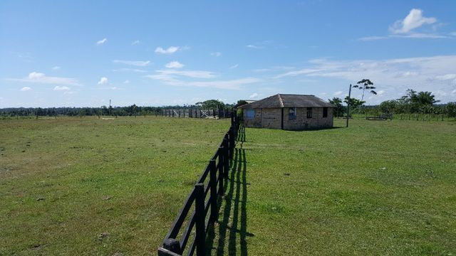 Fazenda de 1500 hectares em Alto Alegre/RR, ler descrição do anuncio