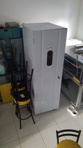 Armario crescimento de paes - Foto 4