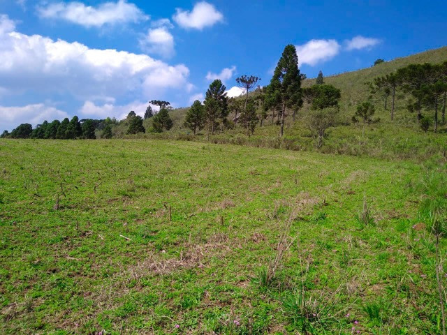 Sítio Terreno - Foto 9