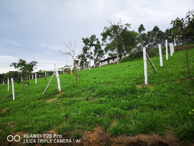 54V terreno com ótimo acesso - Foto 6
