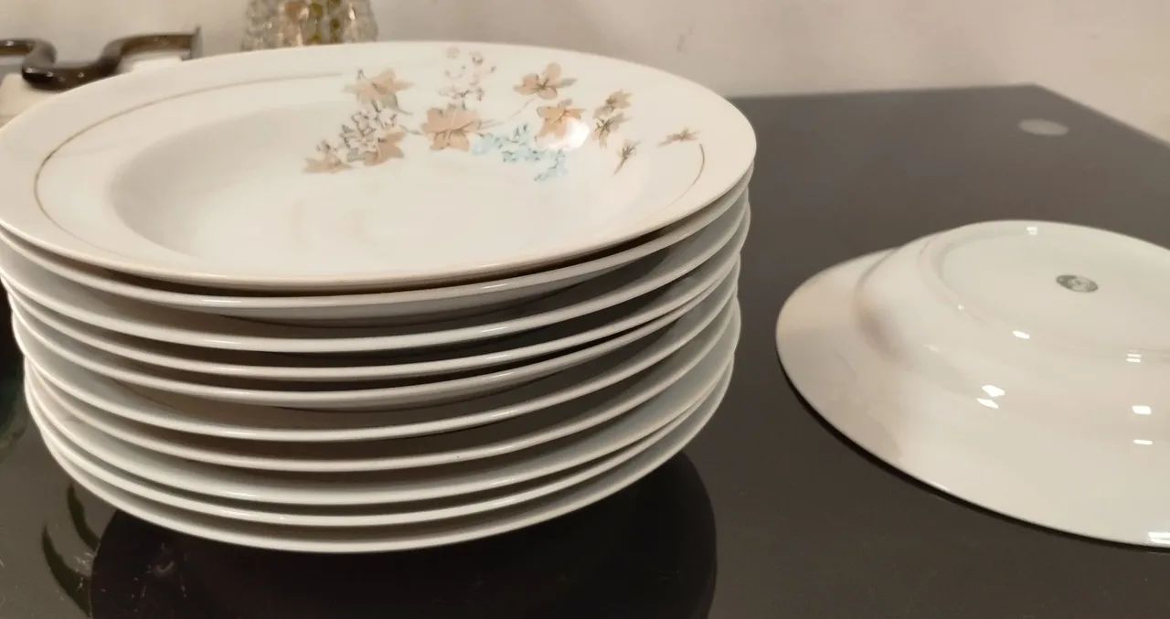 Pratos PORCELANA POLOVI GERMER (11 pratos)