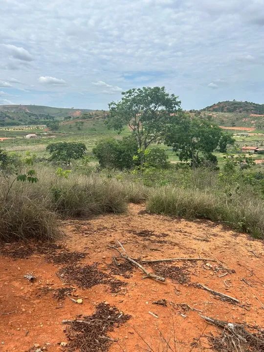 Chácara 3000m Terra Prometida em Valadares - Foto 8