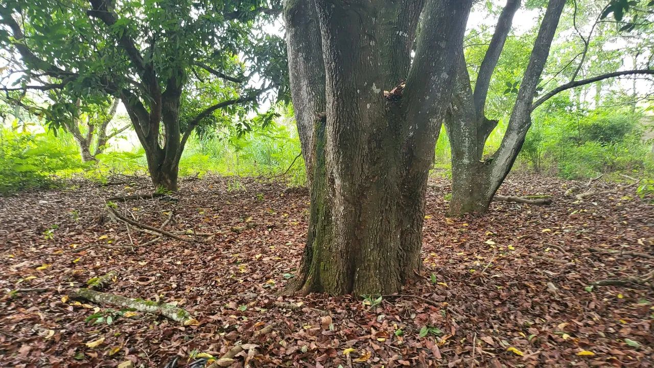 Ex chácara em planaltina df - Foto 12