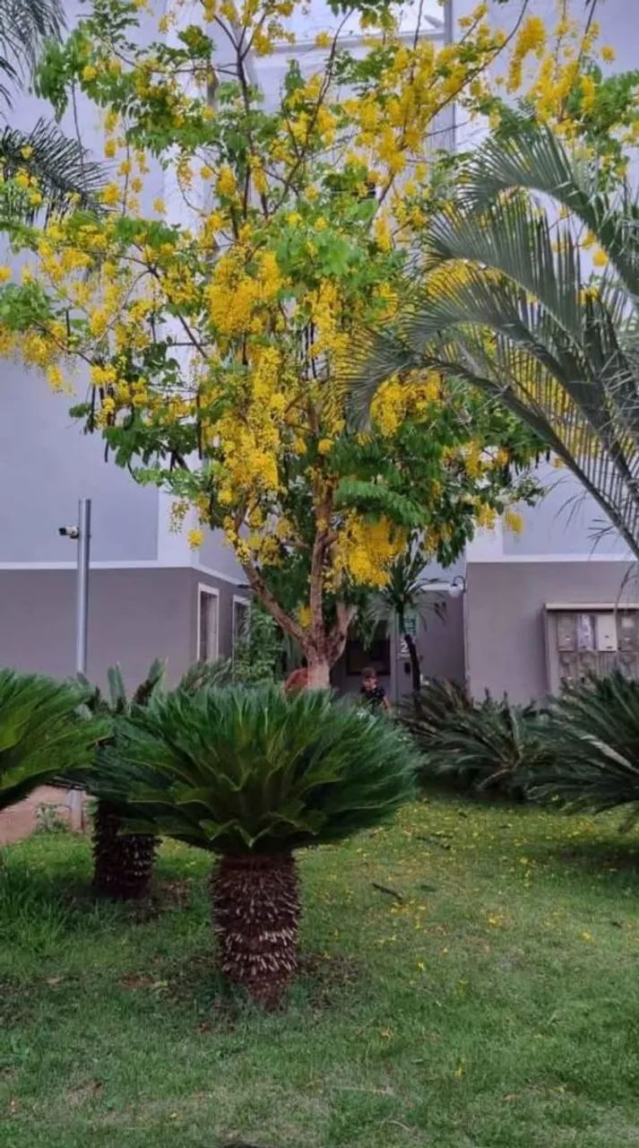 Foto - Uberlândia - Chácaras Tubalina e Quartel