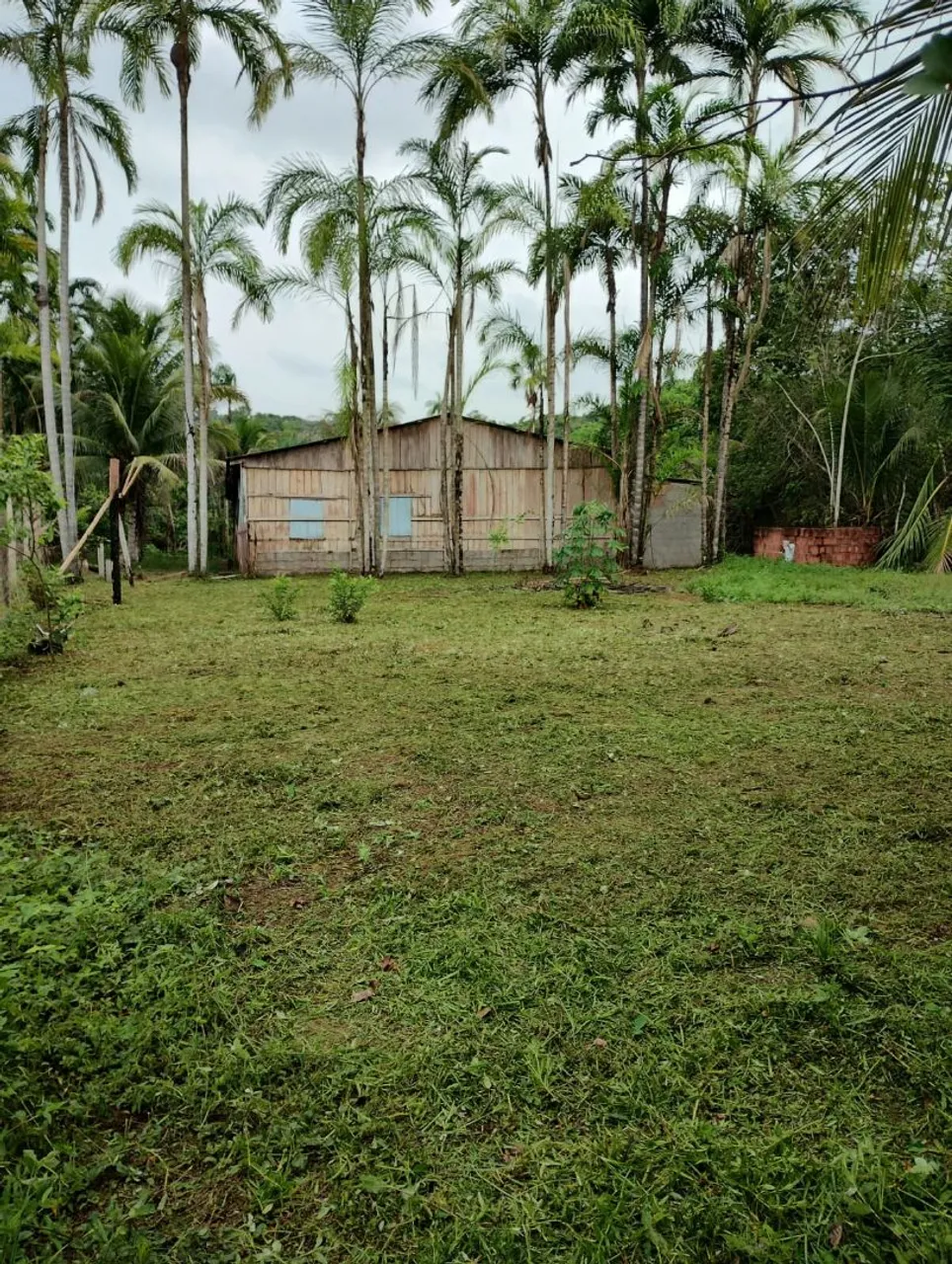 **Terreno à Venda no Ramal Santa Maria, KM 31 - AM-070 com igarapé**