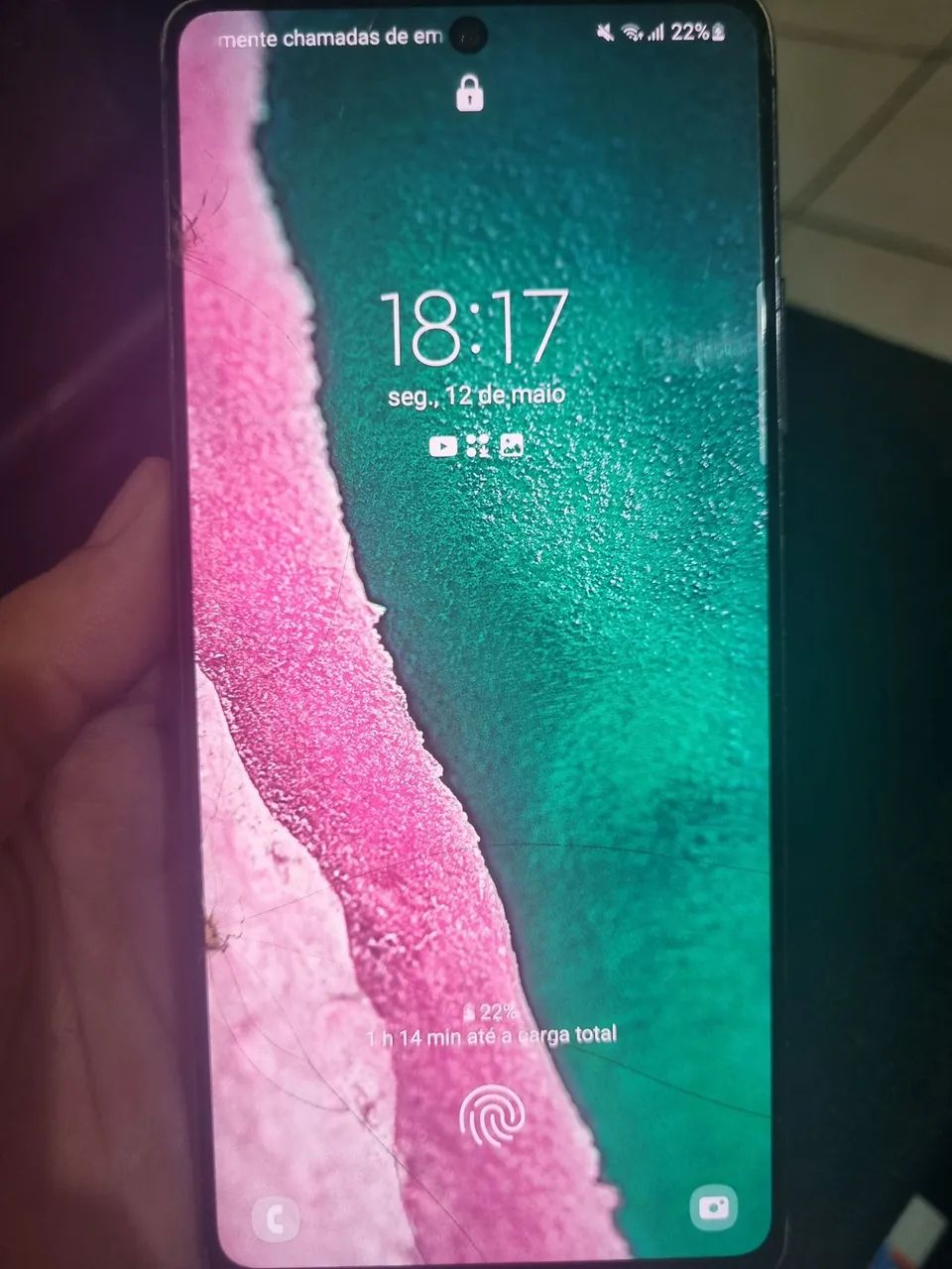 Samsung Galaxy S10 Lite Celular
