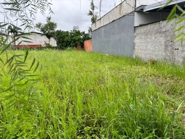 TERRENO À VENDA EM PIRABEIRABA - JOINVILLE/SC  - Foto 7