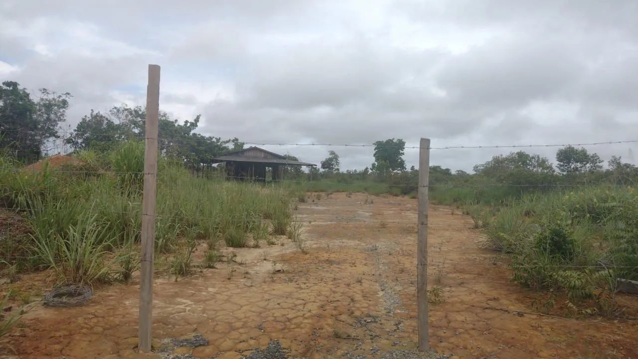 Vendo lote na 432 - Foto 5