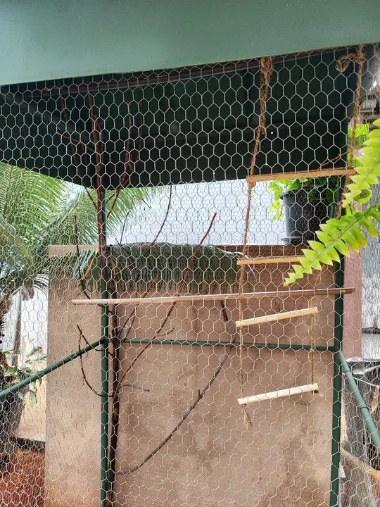Gaiola viveiro grande quase doação pra levar logo - Foto 3
