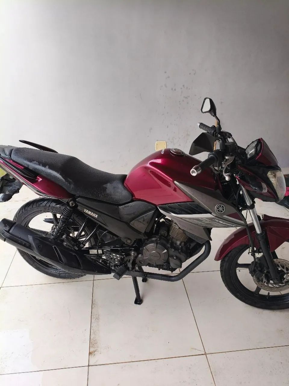 Conservadissima  - Foto 3