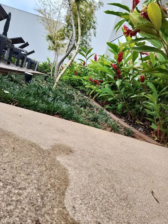 Serviço de jardinagem e paisagismo, - Foto 4