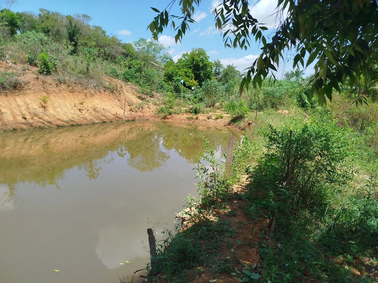 Chácara com Poço e energia  - Foto 8