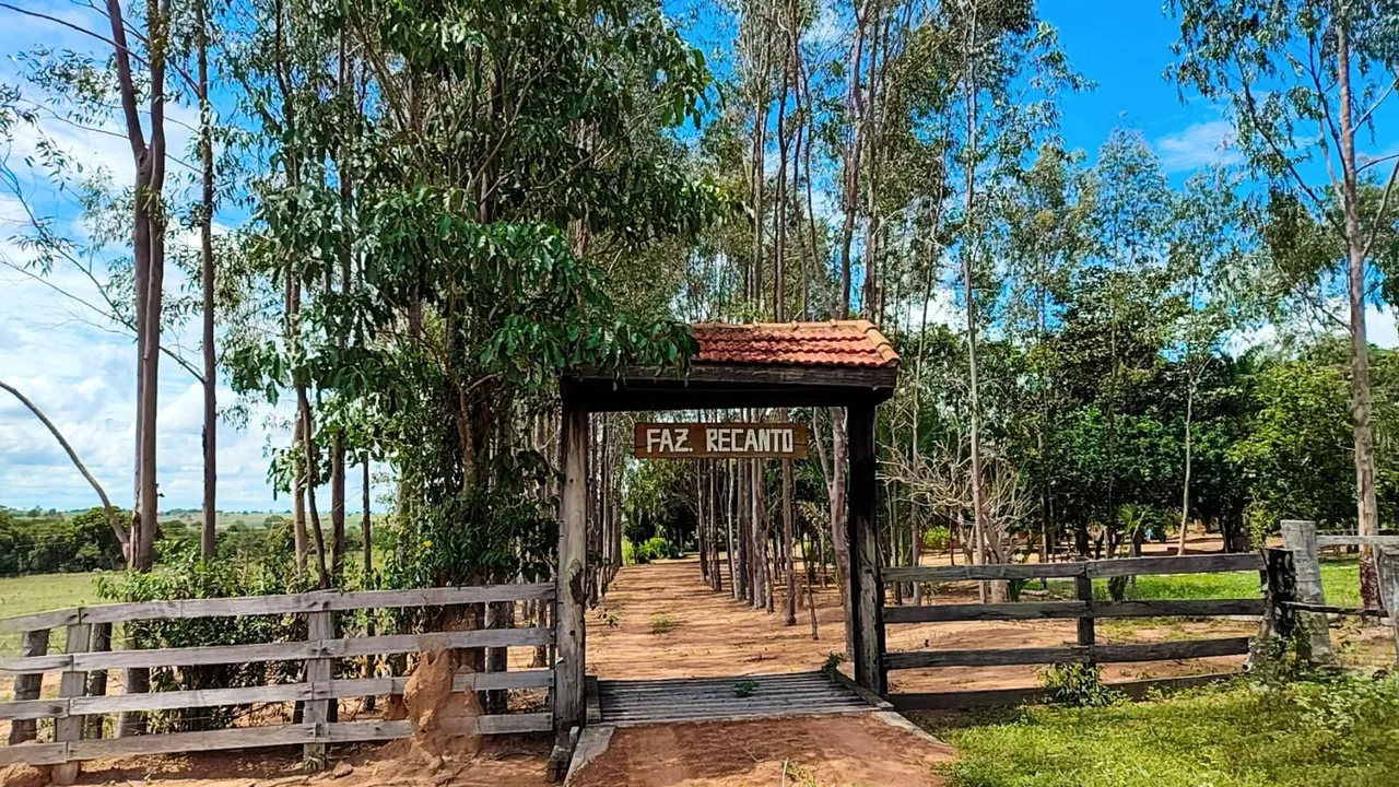 CÓD445 Fazenda à Venda 217 HECTARES Rio Verde/MS