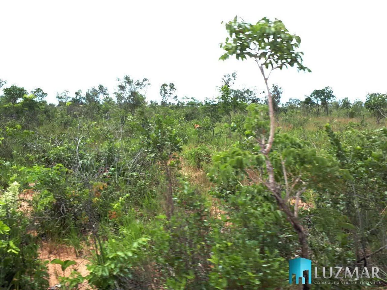 Excelente Fazenda em Lizarda - Tocantins, com 1691 HECTARES