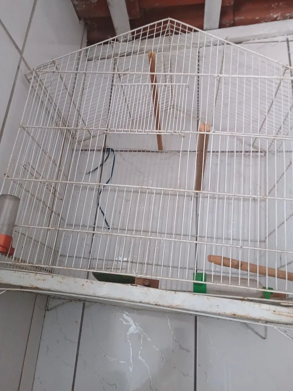 Gaiola para calopsita 