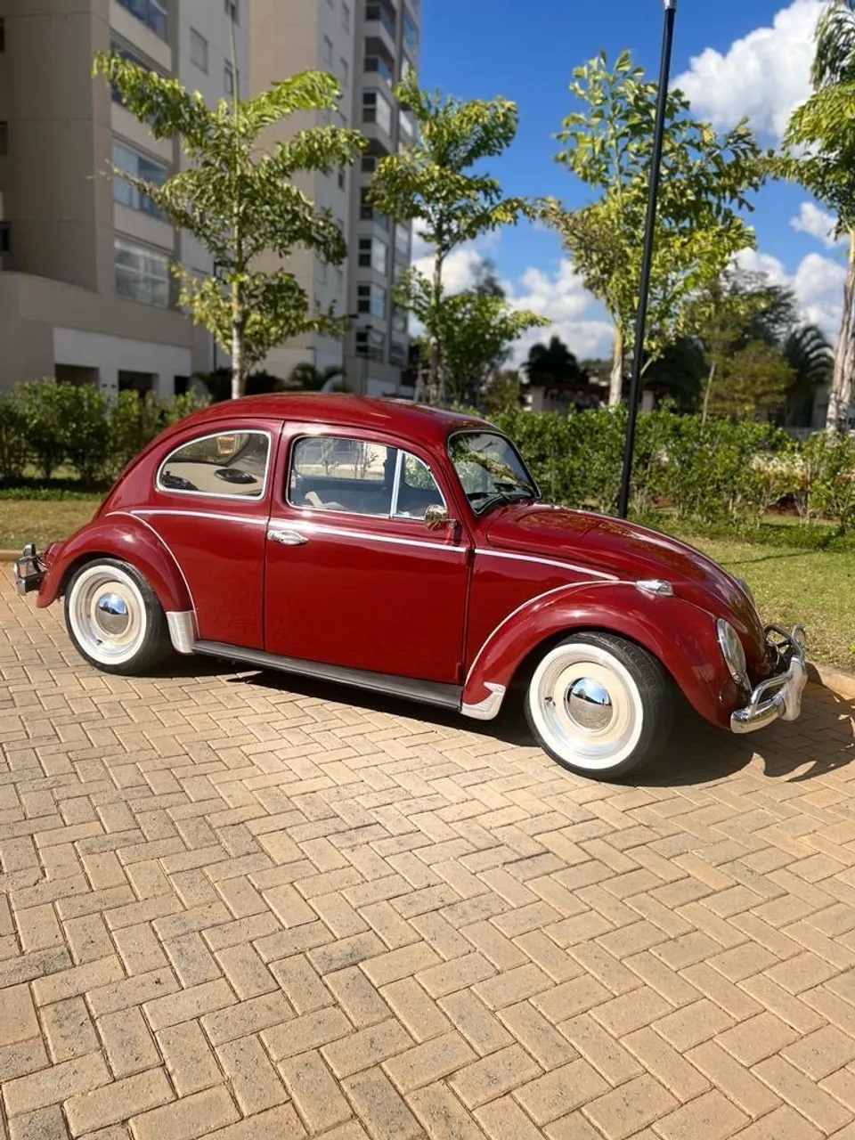 Fusquinha 65