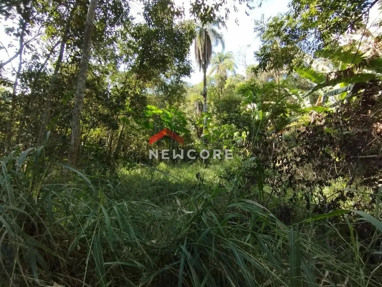 Lote em condomínio em Alameda dos Flamboyants - Condomínio Nossa Fazenda - Esmeraldas/MG - Foto 9