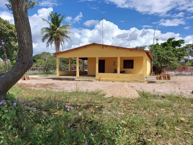 Fazenda Vitoria - 76 hectares em Chorozinho para vender - Foto 3