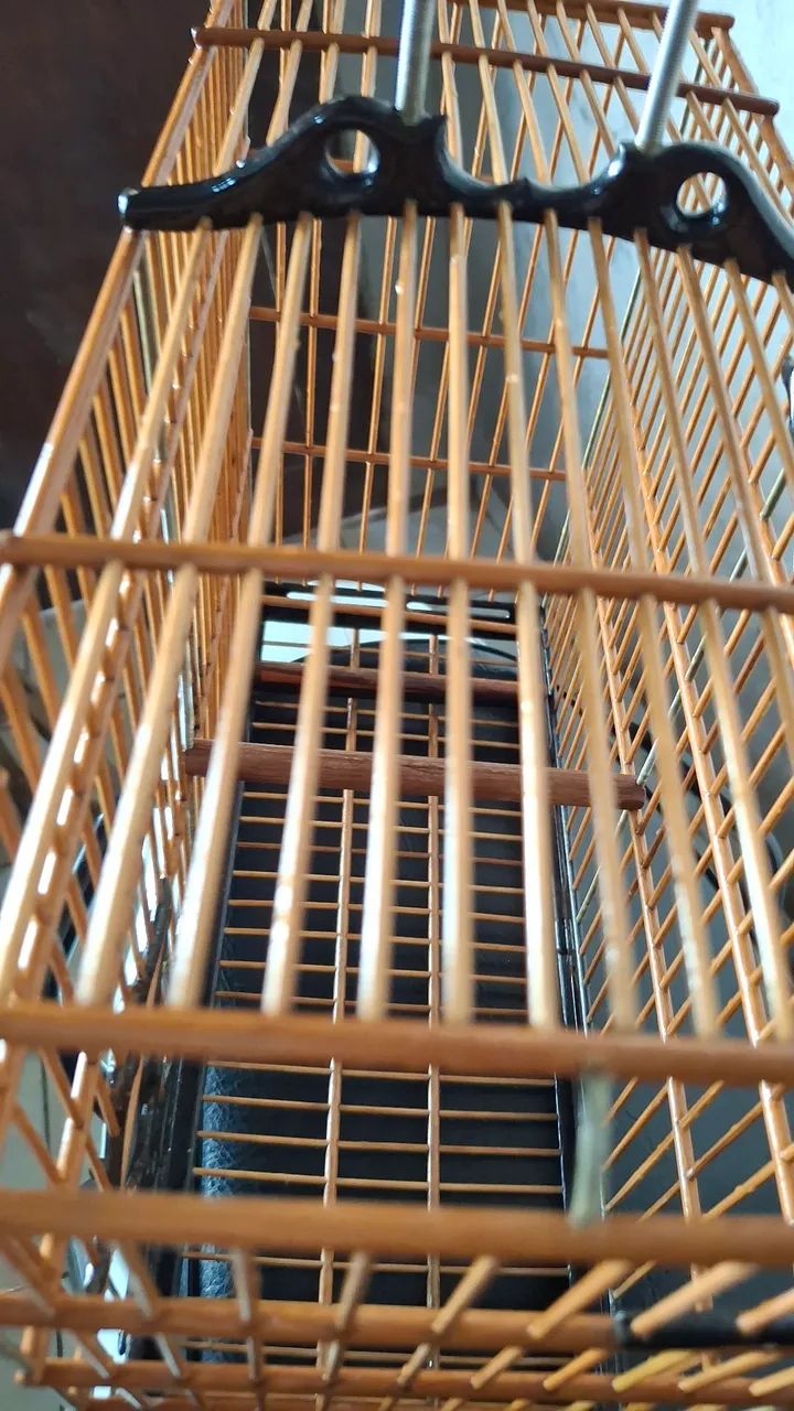 Semi-standard cage64304560434305123