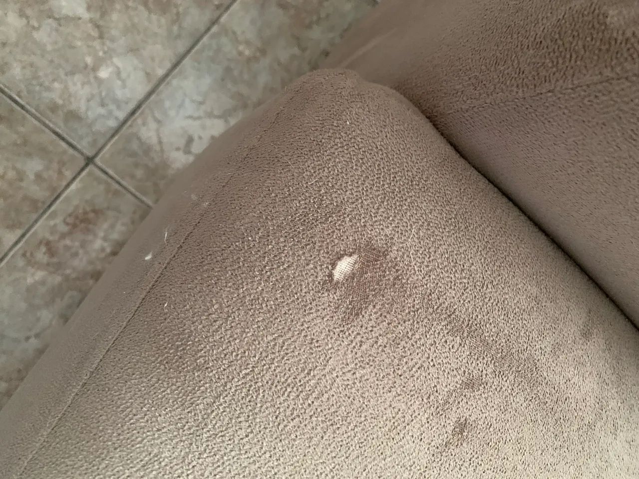 Sofa65566186851330122