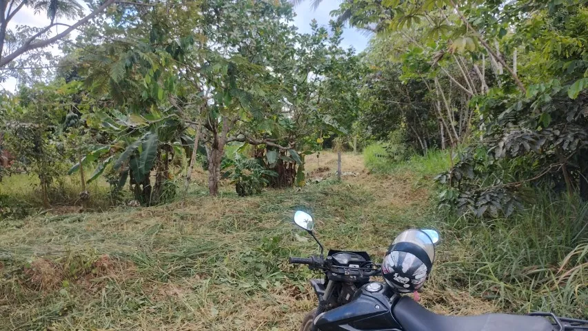 terreno