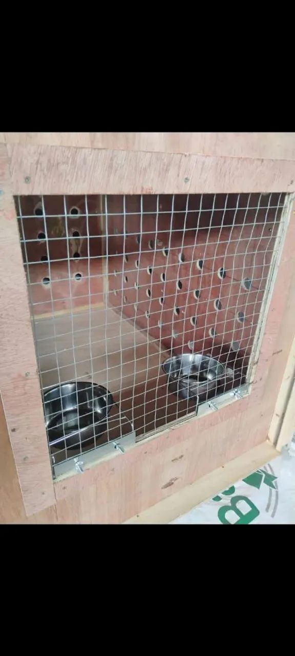 Caixa de transporte aéreo CR82 IATA  - Foto 3