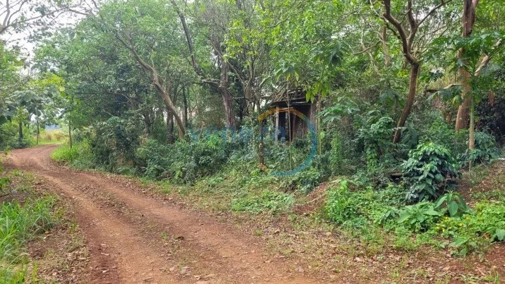 Chácaras_Prop rurais à venda por R$ 185000.00, 50.00 m2 - ZONA RURAL - JATAIZINHO/PR - Foto 2