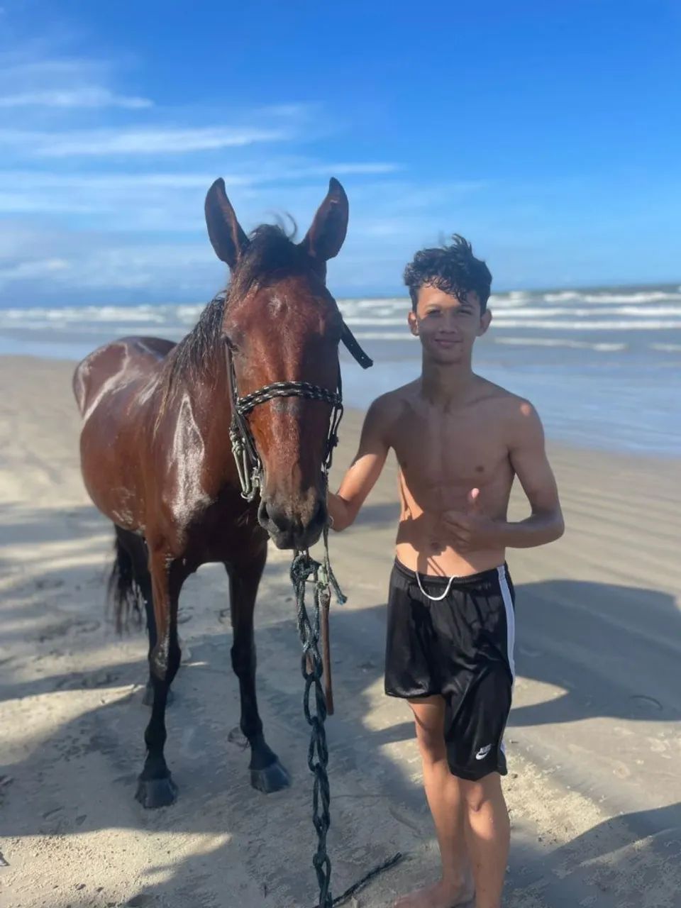 Vendo poutro manço de cela treis ano de idade aceito prosta talvez trocar  em algo do meu 