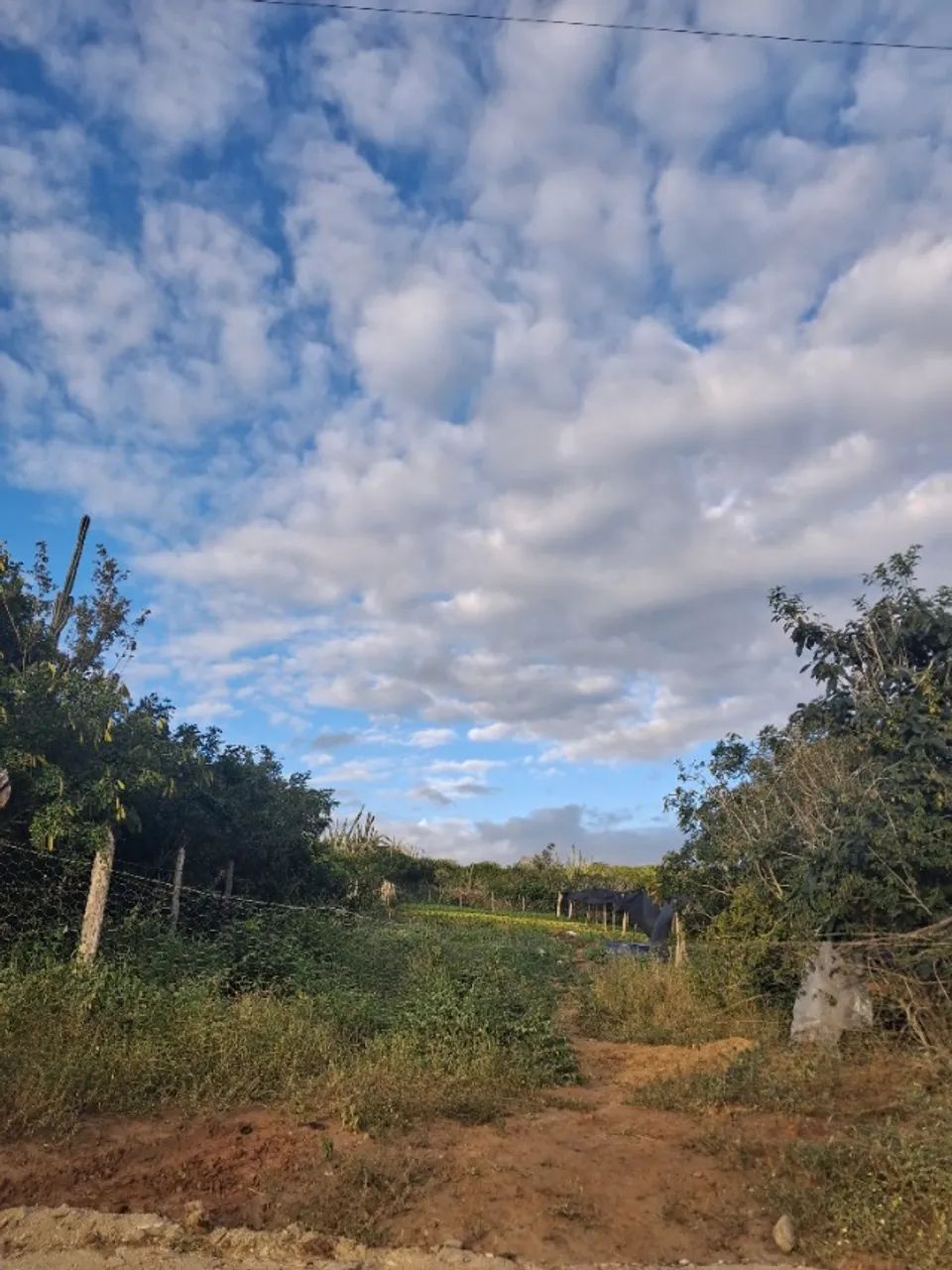 Terreno 10x63m Em Conceição do Coité - Açude Itarandi