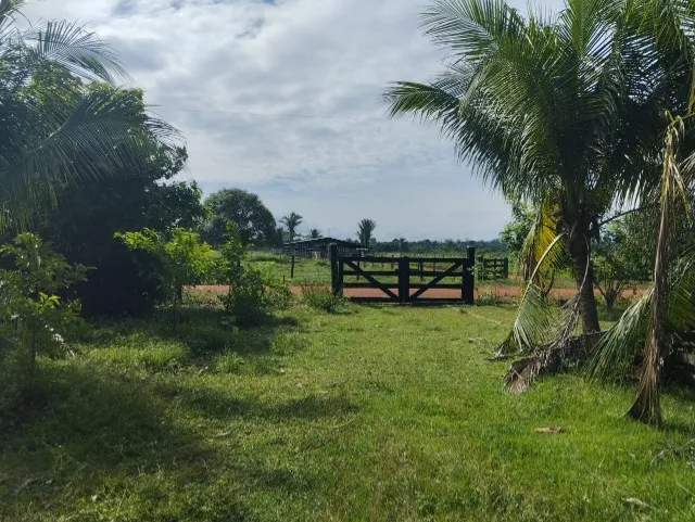 Sítio 10 Hectares vendo, 55 Km sentido Rio Branco +04 Km fora da Br.