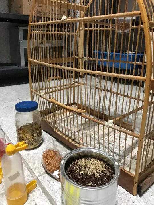 Gaiola e outros  - Foto 3