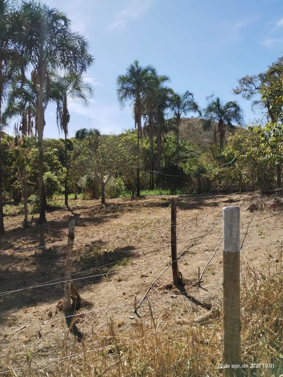 Só 25 mil o hectare - Foto 2