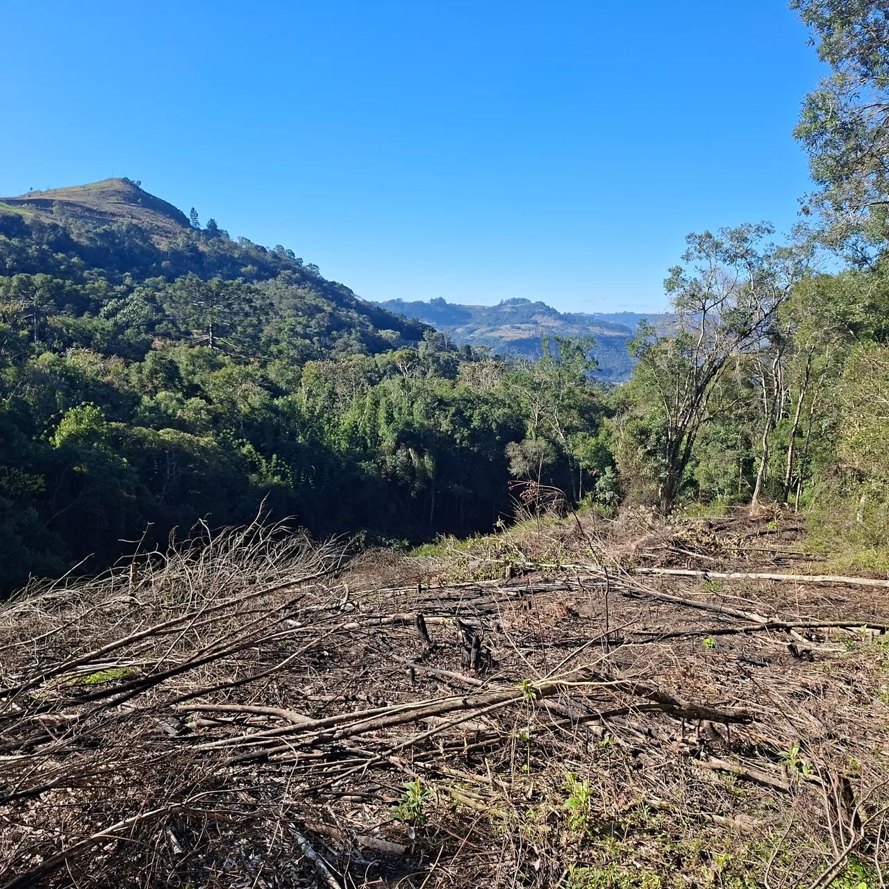 Terreno sítio  - Foto 2