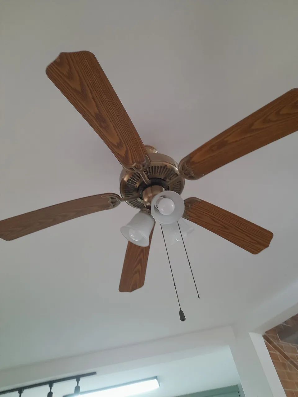 VENTILADOR DE TETO 