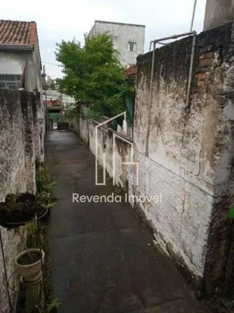 Terreno à venda no Tucuruvi com 301m² - Foto 3