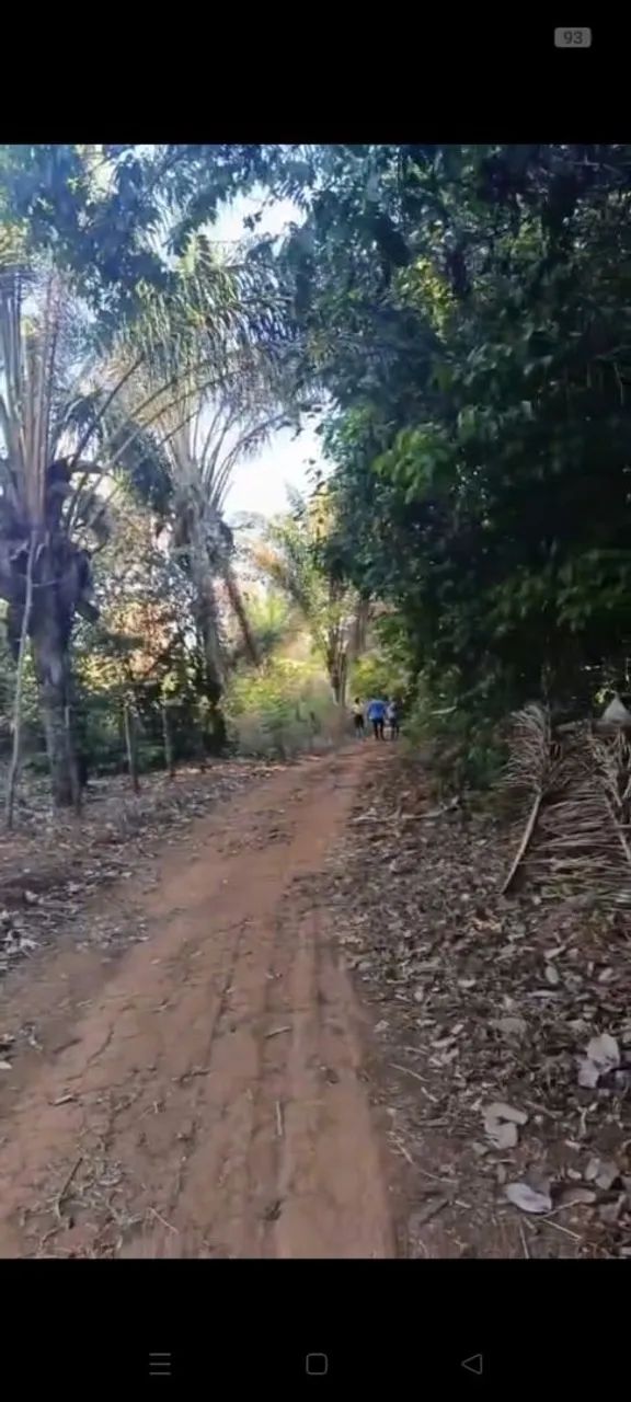 Chácara no município de Palmas - Foto 3