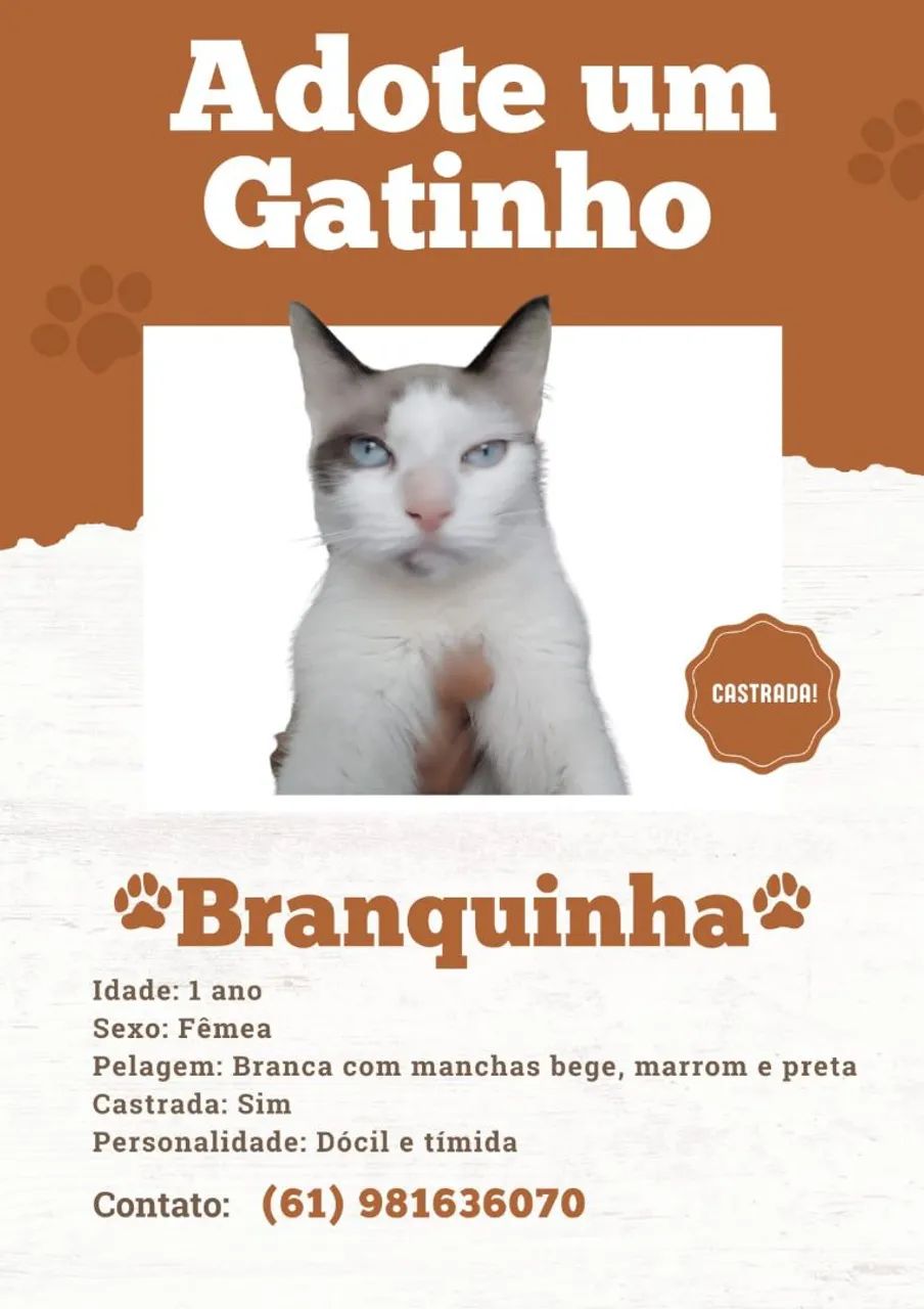 Doam-se gatinhas