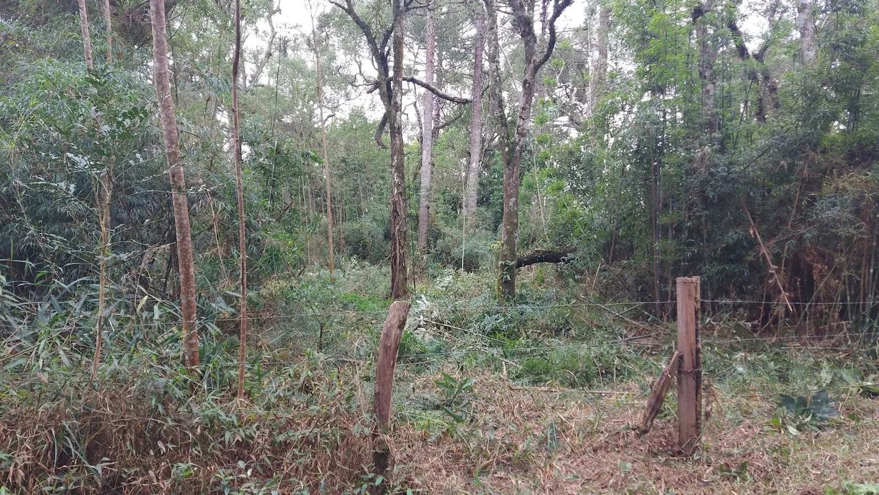 Venda - Foto 5