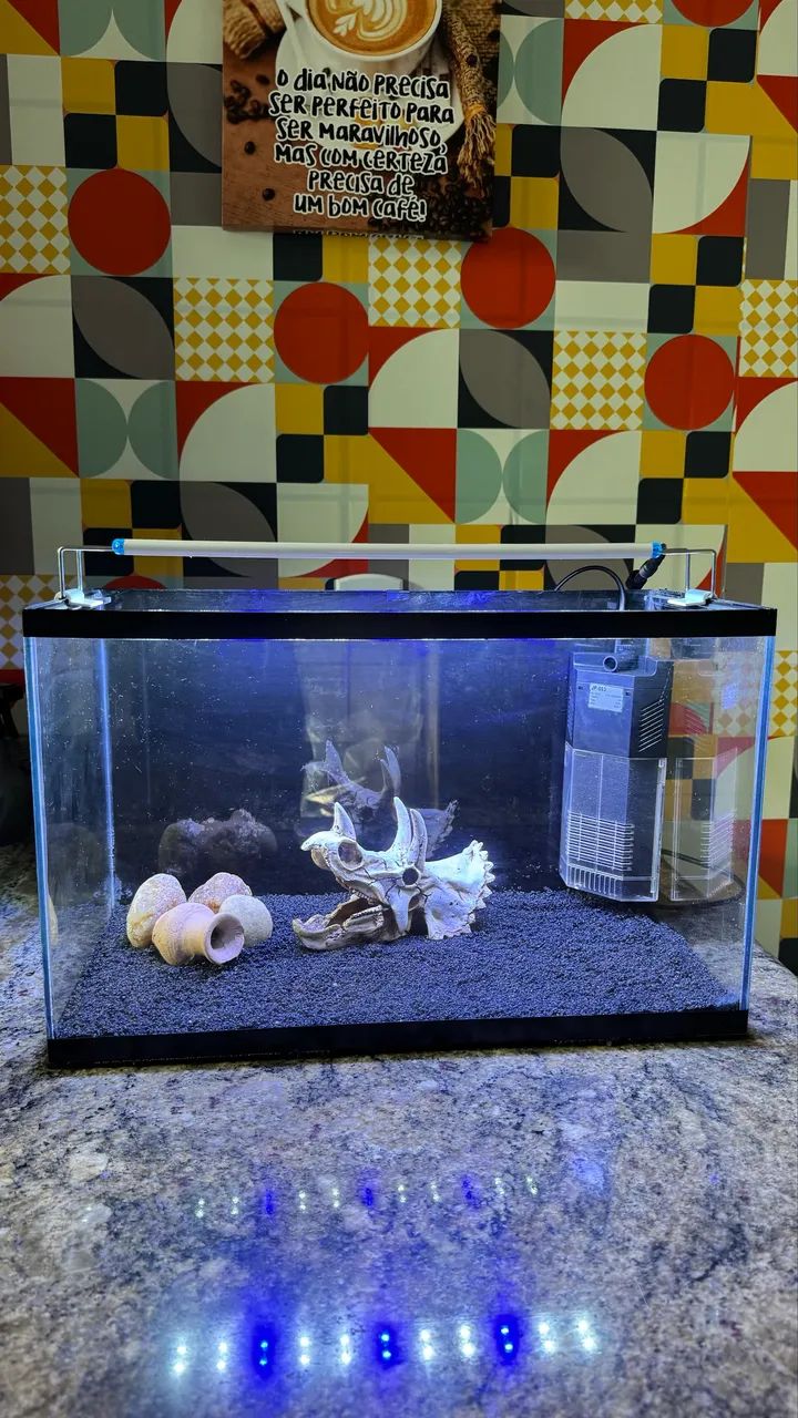 AQUÁRIO 30 LITROS  - Foto 4