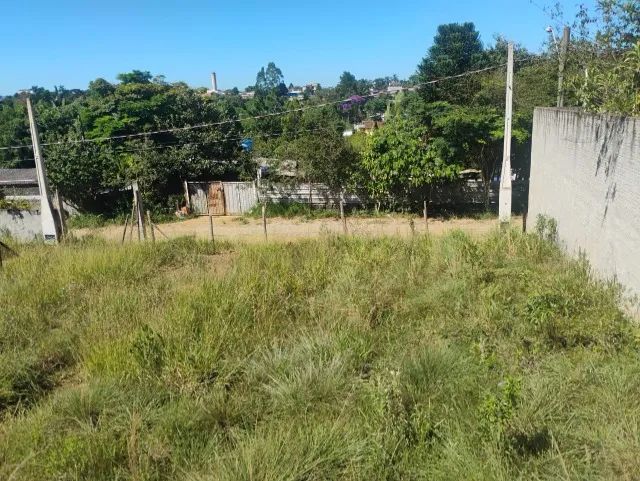 Terreno 1000m2 - Foto 4