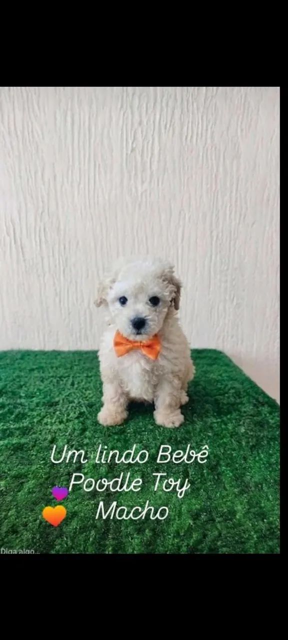 Ótimo presente para dia das crianças.